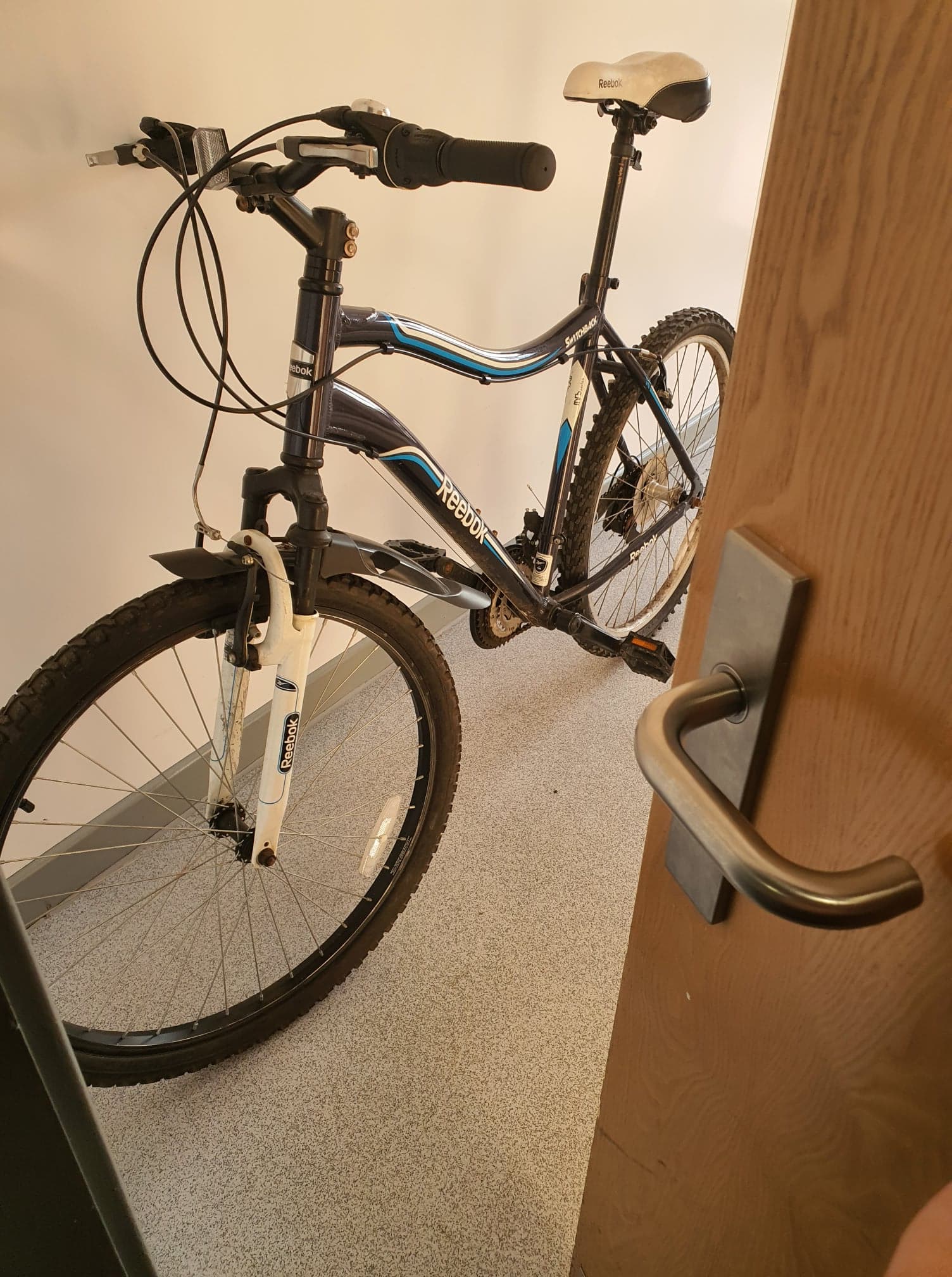 Bike hidden behind door